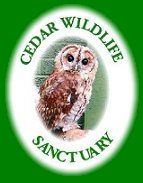 Cedar Wildlife Sanctuary Home Page