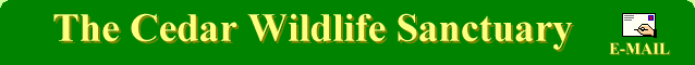 Cedar Wildlife Sanctuary