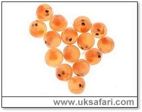 Salmon Eggs - Photo � 2002 Ian Wilkinson